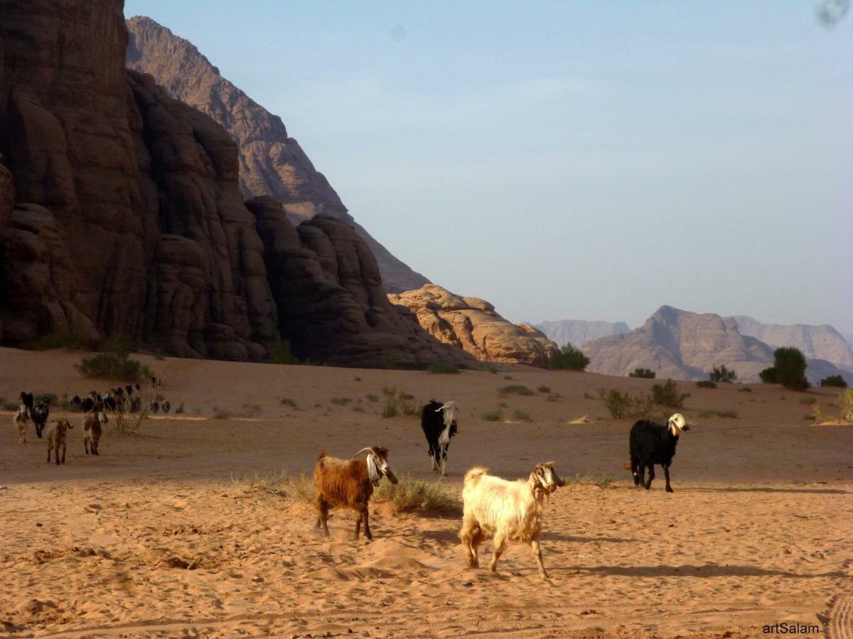 Hotel Sunrise Camp Wadi Rum Esterno foto