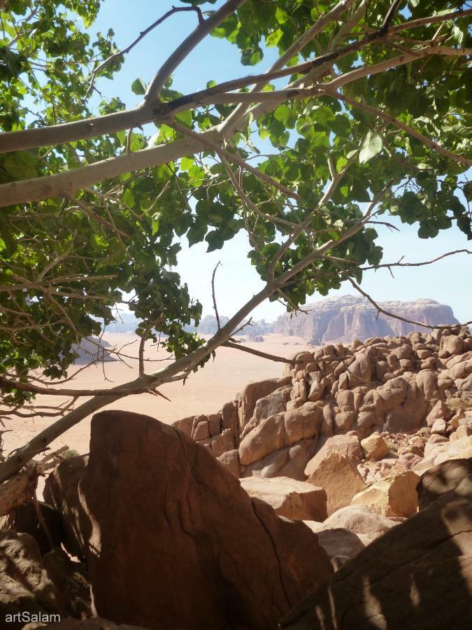 Hotel Sunrise Camp Wadi Rum Esterno foto