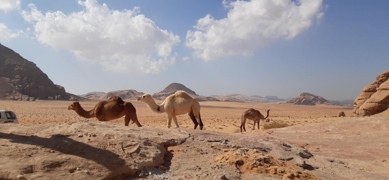 Hotel Sunrise Camp Wadi Rum Esterno foto