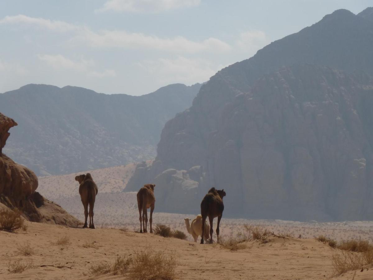 Hotel Sunrise Camp Wadi Rum Esterno foto